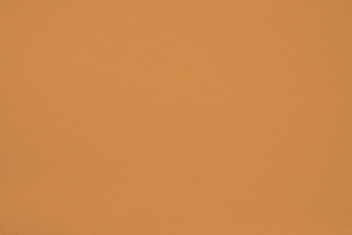 Colonel mustard 10L - Image 2