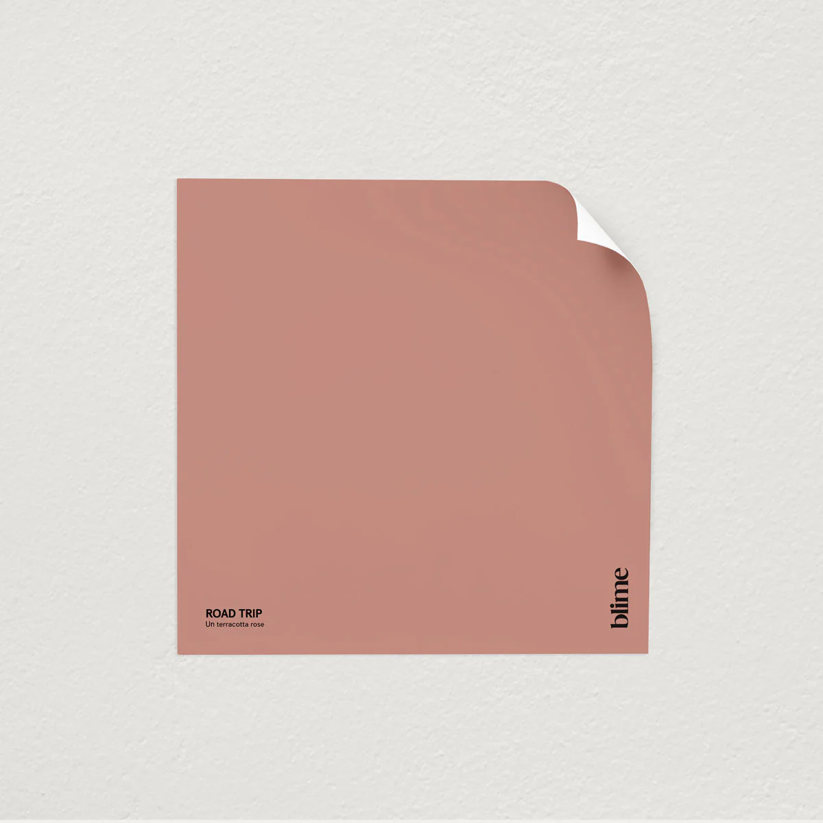 Les roses - Image 6