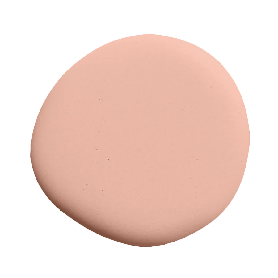 Love powder 10L