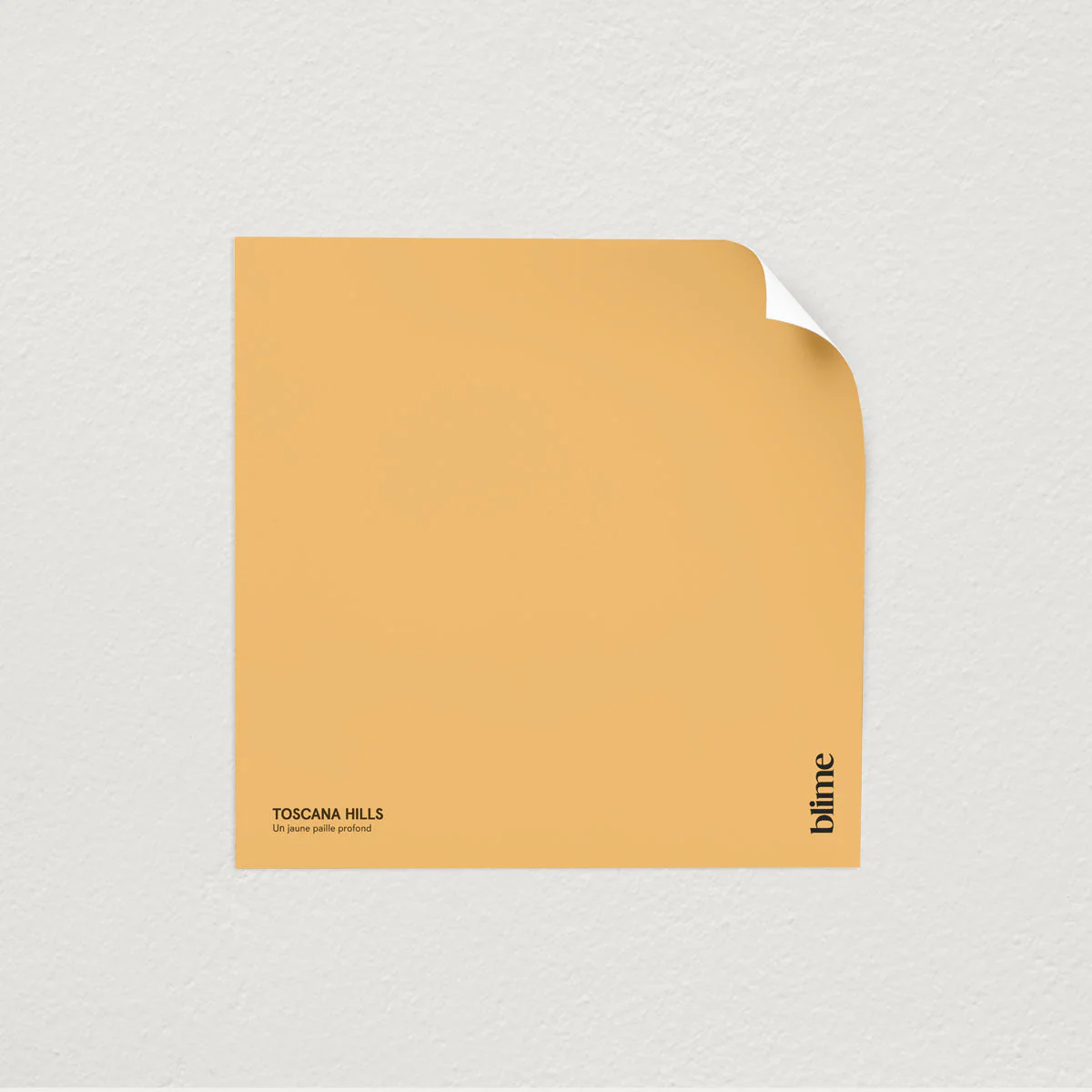Palette de printemps - Image 8