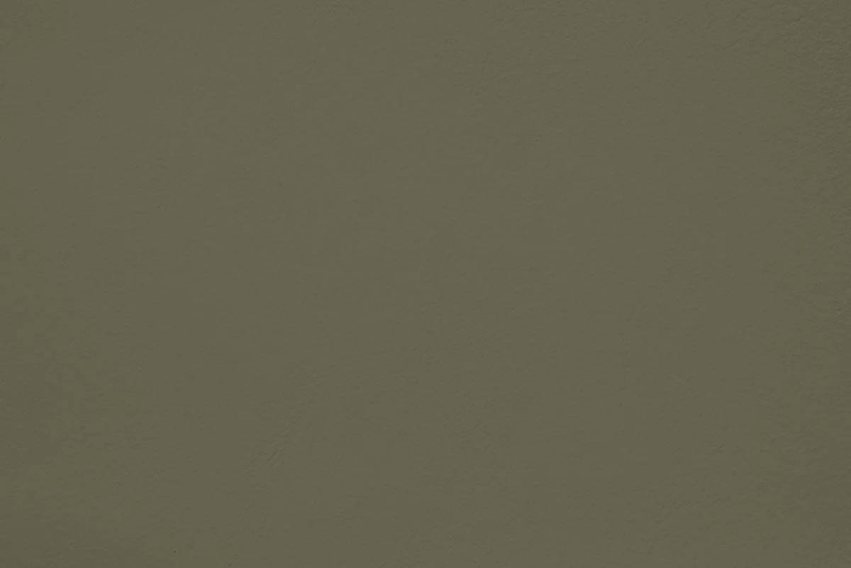 Pitchy olive 10L - Image 2